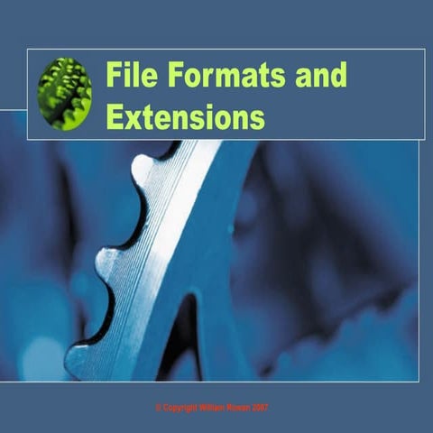 File Formats and Extensions The method for saving a document | PPT