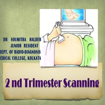 2nd trimester ultrasound..