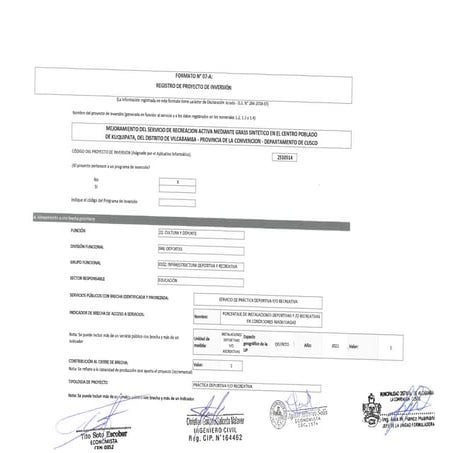2 FORMATO 7A - REGISTRO PIP.pdf