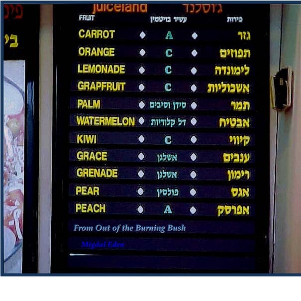 From out of the burning bush