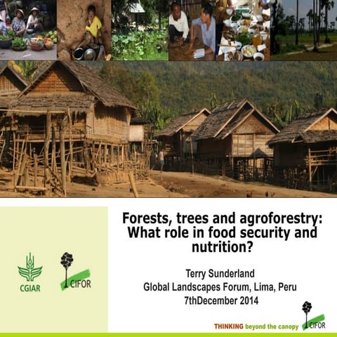 Forests, trees and agroforestry: What role in food security and nutrition? 