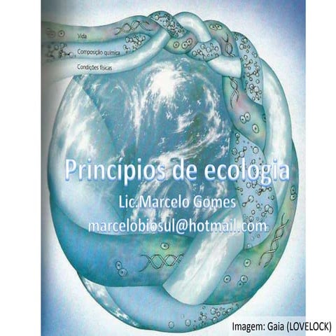 Fundamento de Ecologia -  fluxo de energia (nível superior)