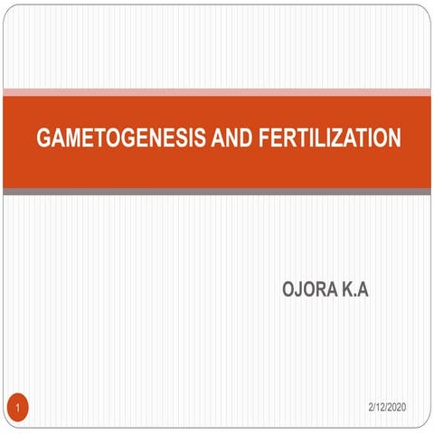 2 gametogenesis, fertilization, | PPTX