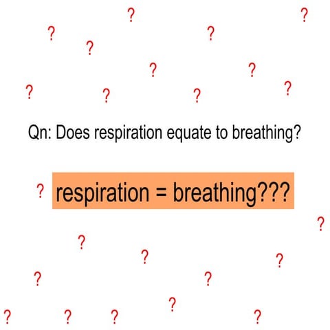 Chapter 10 Lesson 2 - Gaseous Exchange in the Lungs and Lung capacity