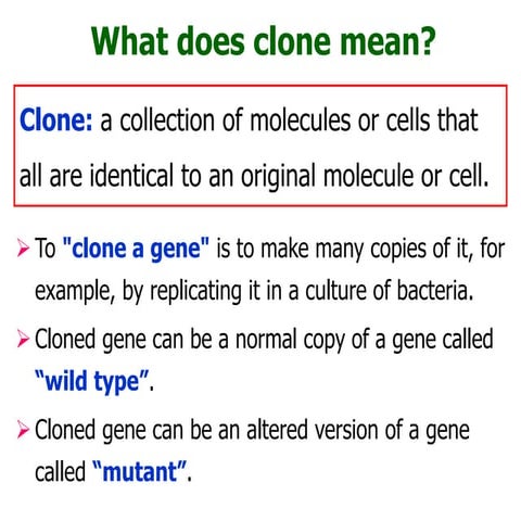 2 GEB302_DMMK_Clone-PCR.pdf