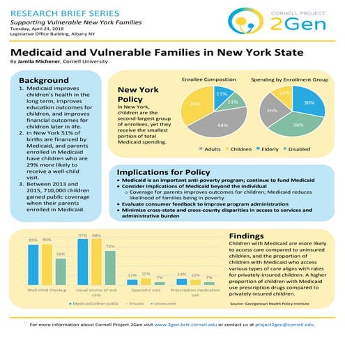 Medicaid and Vulnerable Families in New York State