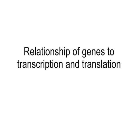 Chapter 20 Molecular Genetics Lesson 2 - Genes_Transcription and Translation