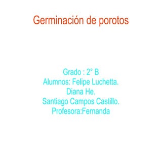 2º grado germinacion