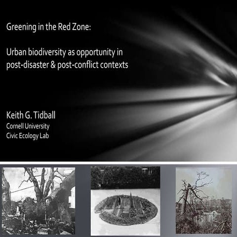 Greening in the Red Zone: Urban Biodiversity as Opportunity in Post-disaster ...