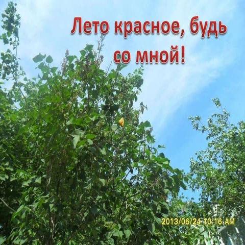 2 группа ЛЕТО