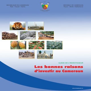 Guide de l'investisseur