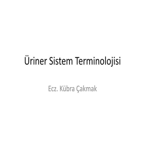 ÜrinerSistem Terminolojisi