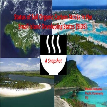 Status of Soil Organic Carbon Stocks in the Small Island Developing States (S...