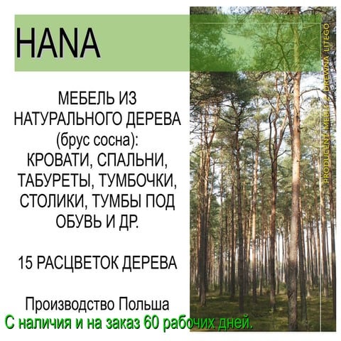 2 презентация фабрики hana