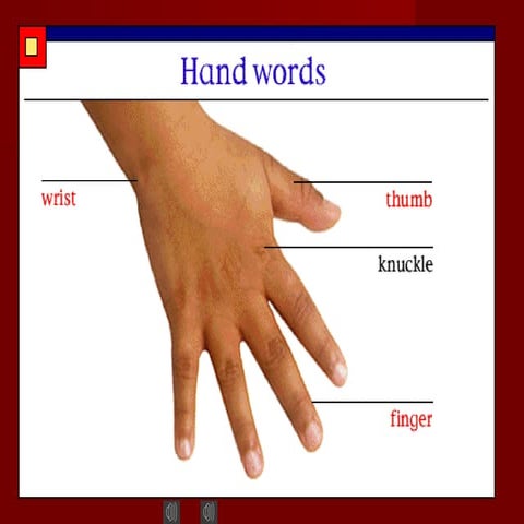 2  hand words
