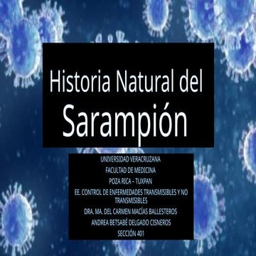Comprehensive Overview of the Natural History and Prevention of Measles ...