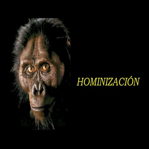 HOMINIZACIÓN