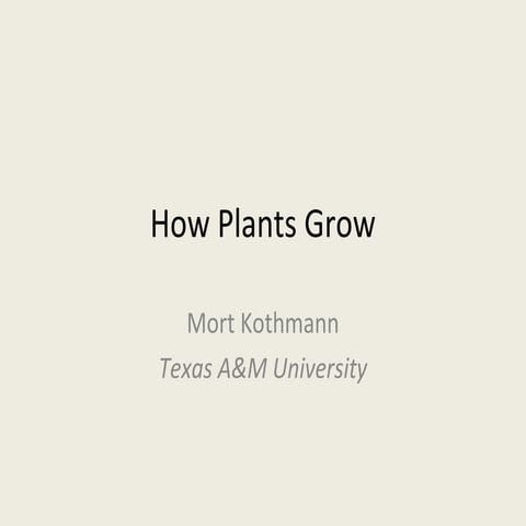 how plants grow