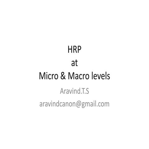 hrp micro and macro level