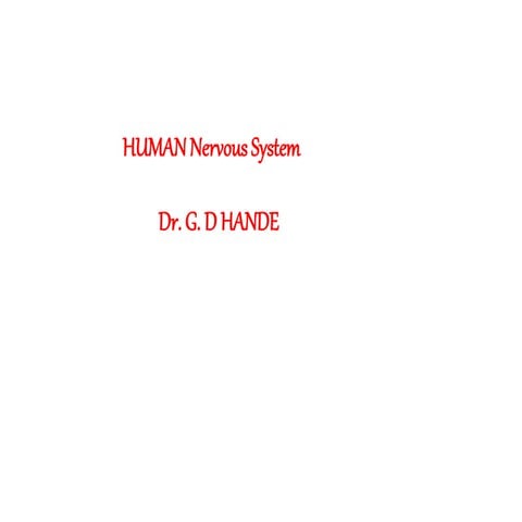 2 Human Body Nervous system.pptx