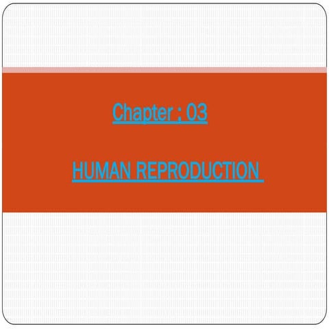 BIOLOGY PROJECT FILE.pdf