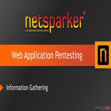 Web Application Penetration Tests - Information Gathering Stage