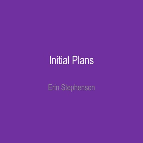 (2) Initial Plans