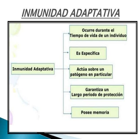 inmunidad adaptativa