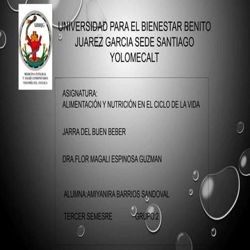 2 JARRA DEL BUEN BEBER AMIYANIRA BARRIOS SANDOVAL.pptx