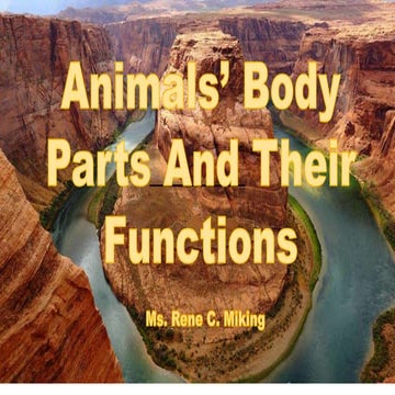 Animal body parts and their uses | PPT