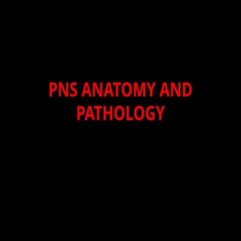 PNS_ANATOMY_AND_PATHOLOGY.pptx for educational purposes