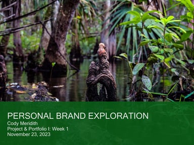 Personal Brand Exploration- Cody Meridith