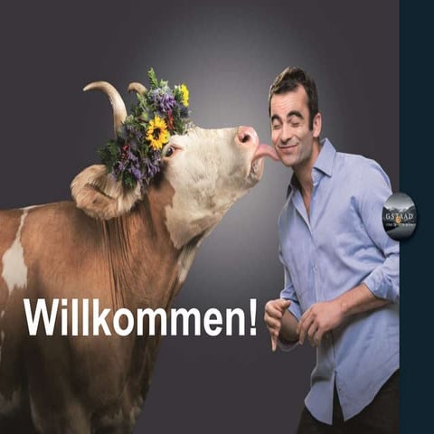 Gstaad Saanenland Tourismus - MICE Presentation