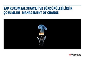SAP ile Değişiklik Yönetiminin Yeni Yüzü - SAP Management of Change