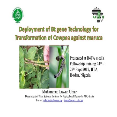 Gene for gene system in plant fungus interaction | PPTX