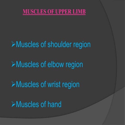 muscle s of upper limb