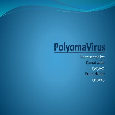 polyoma virus