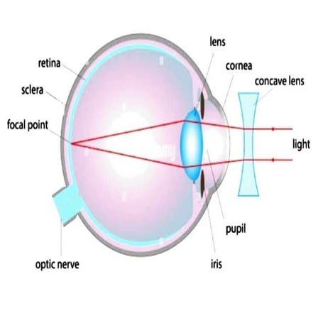 2nd class.pdf mera lelo tu.. lann fuddi mei