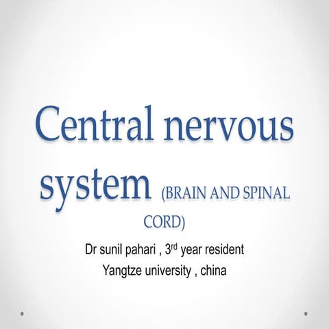 Central nervous system 