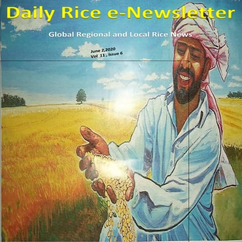 2nd june 2020 daily global regional and local rice e newsletter