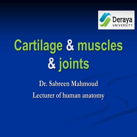 anatomy,muscles, joints, Dr.sabreen mahmoud