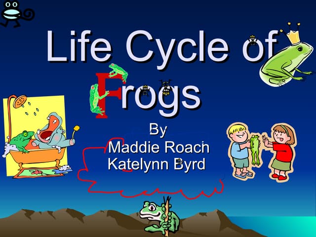 Life Cycle Of Frogs