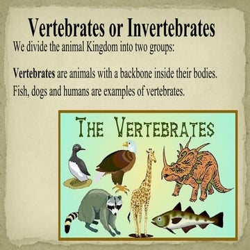 2nd qtr 8a characteristics of vertebrates