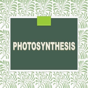 Photosynthesis