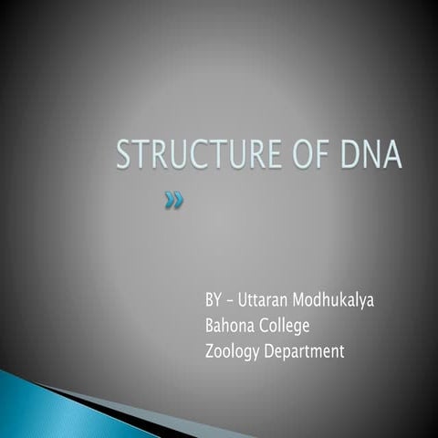 Structure of DNA | PPTX