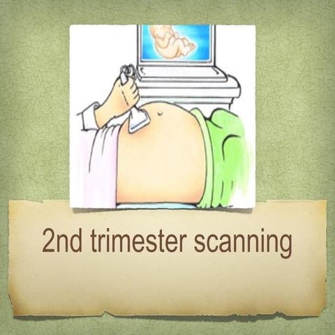 2nd trimester scan