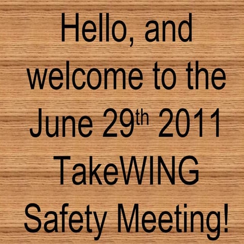 Aviation Quiz-Game: TakeWING Safety Meeting 