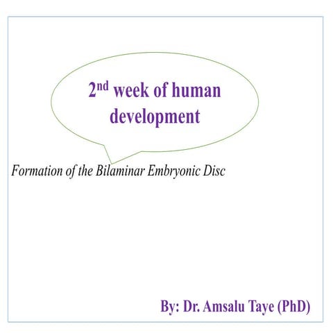 second week embryonic development (AT).pdf