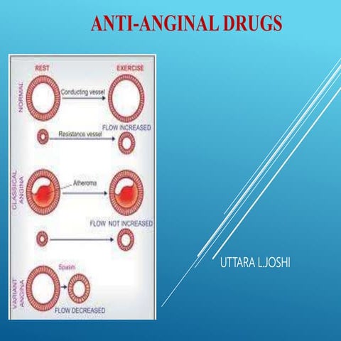 2nd year anti-anginal_drugs