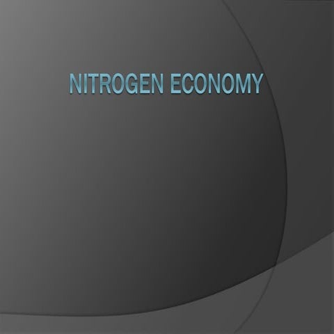2 Nitrogen Economy-converted-compressed_250501_131402.pdf